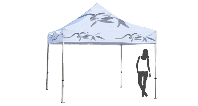 Carpa-personalizada-3-x-3-650x350